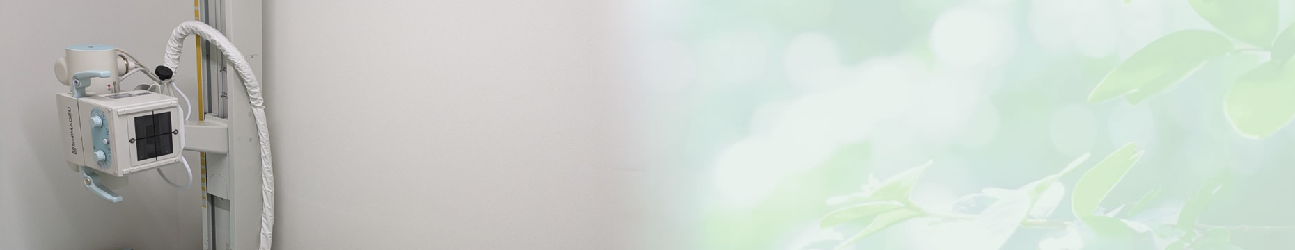 予防接種
